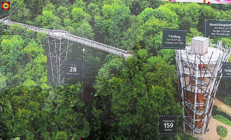 Blaue 24-09.jpg - In ca.28m geht es zum Teil über die Baumwipfel.